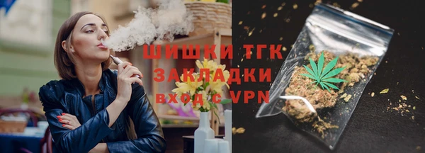 гашик Каменногорск