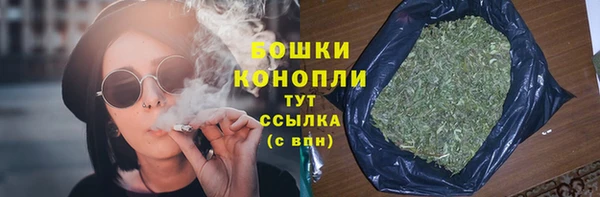 гашик Каменногорск