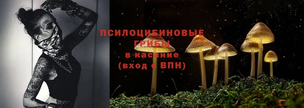 гашик Каменногорск