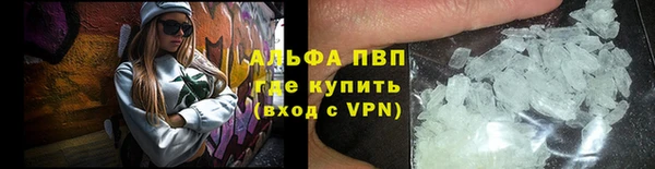 гашик Каменногорск