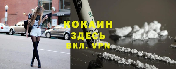 гашик Каменногорск