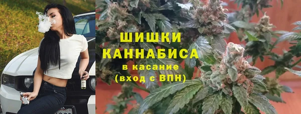 гашик Каменногорск