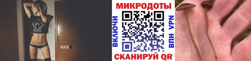 Псилоцибиновые грибы MAGIC MUSHROOMS  Купить  Ладушкин 